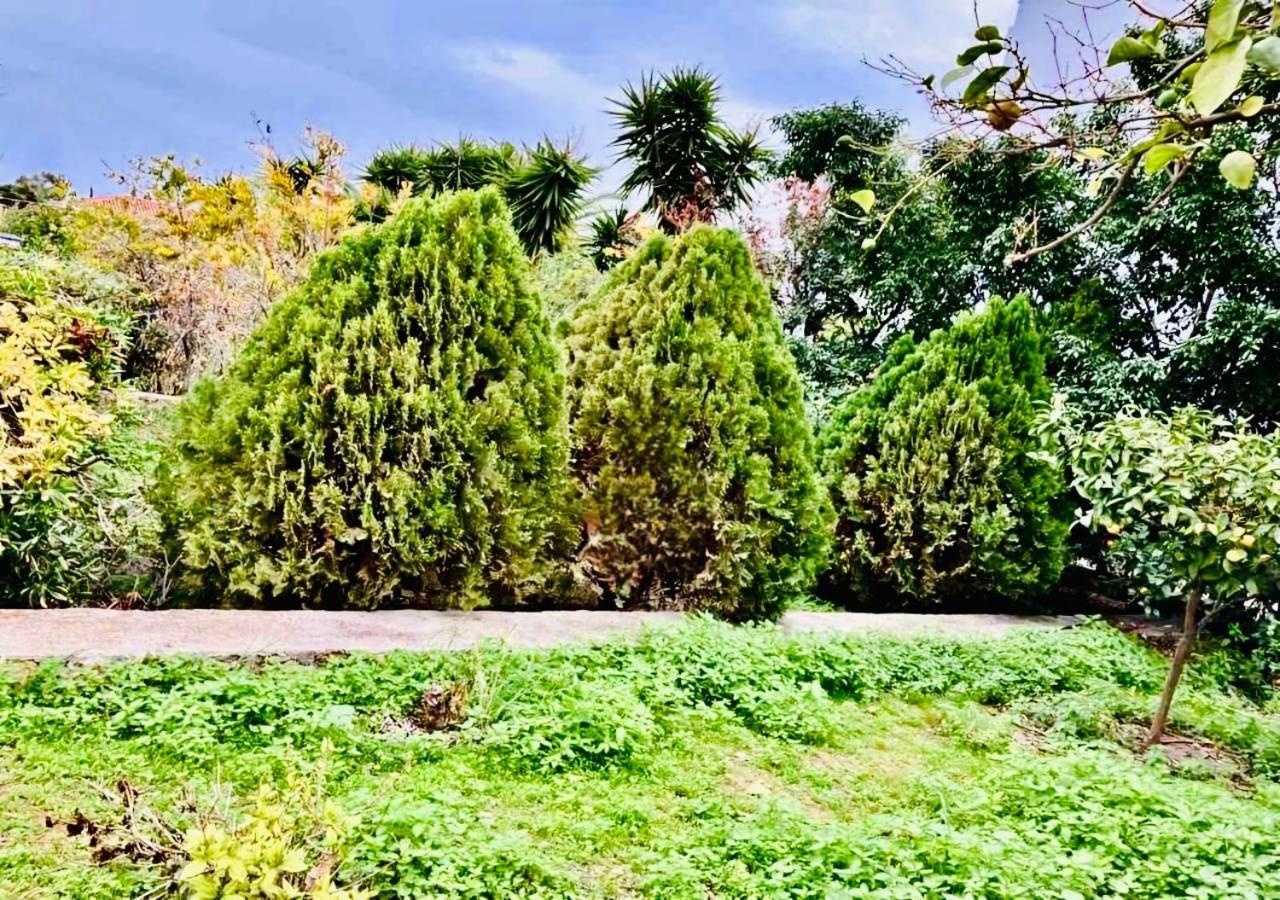 Villa Jenny Stylianou Spétses Exterior foto